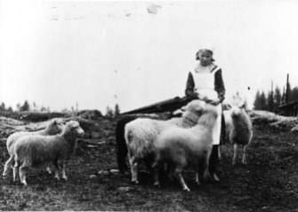 Tyttö ja lampaat 1930-luvulla. Kuva: Mäntyharjun museo.